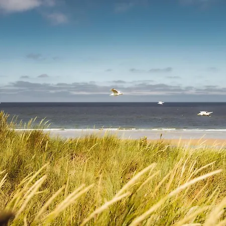 Kd 883 - Kijkduin * 헤이그