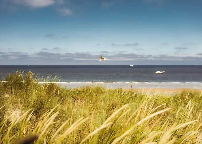 Kd 883 - Kijkduin * Haag